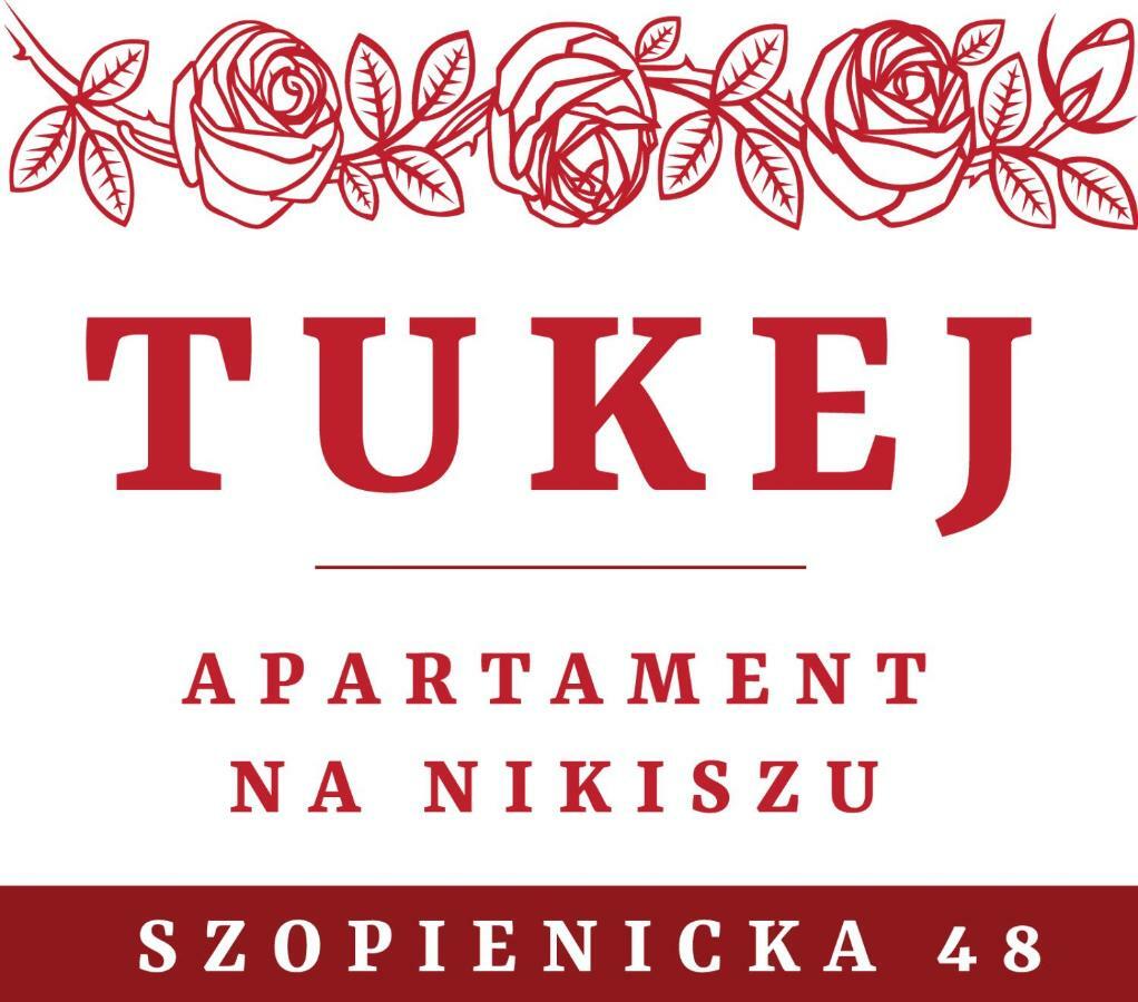 Tukej Apartament Na Nikiszu Катовице Екстериор снимка